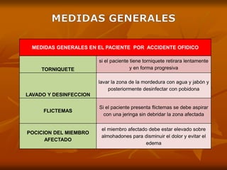 MEDIDAS GENERALES EN EL PACIENTE POR ACCIDENTE OFIDICO
TORNIQUETE
si el paciente tiene torniquete retirara lentamente
y en forma progresiva
LAVADO Y DESINFECCION
lavar la zona de la mordedura con agua y jabón y
posteriormente desinfectar con pobidona
FLICTEMAS
Si el paciente presenta flictemas se debe aspirar
con una jeringa sin debridar la zona afectada
POCICION DEL MIEMBRO
AFECTADO
el miembro afectado debe estar elevado sobre
almohadones para disminuir el dolor y evitar el
edema
 