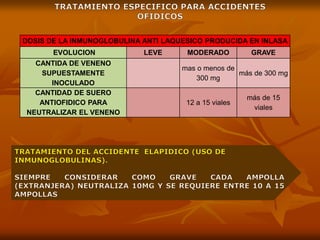 DOSIS DE LA INMUNOGLOBULINA ANTI LAQUESICO PRODUCIDA EN INLASA
EVOLUCION LEVE MODERADO GRAVE
CANTIDA DE VENENO
SUPUESTAMENTE
INOCULADO
mas o menos de
300 mg
más de 300 mg
CANTIDAD DE SUERO
ANTIOFIDICO PARA
NEUTRALIZAR EL VENENO
12 a 15 viales
más de 15
viales
 