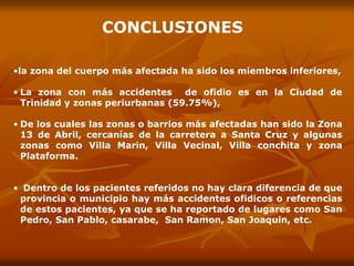 •la zona del cuerpo más afectada ha sido los miembros inferiores,
• La zona con más accidentes de ofidio es en la Ciudad de
Trinidad y zonas periurbanas (59.75%),
• De los cuales las zonas o barrios más afectadas han sido la Zona
13 de Abril, cercanías de la carretera a Santa Cruz y algunas
zonas como Villa Marin, Villa Vecinal, Villa conchita y zona
Plataforma.
• Dentro de los pacientes referidos no hay clara diferencia de que
provincia o municipio hay más accidentes ofidicos o referencias
de estos pacientes, ya que se ha reportado de lugares como San
Pedro, San Pablo, casarabe, San Ramon, San Joaquin, etc.
CONCLUSIONES
 