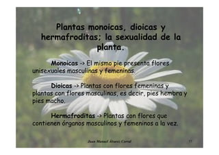 17Juan Manuel Álvarez Corral
Plantas monoicas, dioicas y
hermafroditas; la sexualidad de la
planta.
Monoicas -> El mismo pie presenta flores
unisexuales masculinas y femeninas.
Dioicas -> Plantas con flores femeninas y
plantas con flores masculinas, es decir, pies hembra y
pies macho.
Hermafroditas -> Plantas con flores que
contienen órganos masculinos y femeninos a la vez.
 
