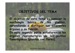 OBJETIVOS DEL TEMA
El objetivo de este tema es conocer la
morfología básica de las plantas,
aprendiendo a distinguir sus diferentes
órganos y su función.
En esta segunda parte estudiaremos los
órganos reproductores de las plantas
fanerógamas (plantas con flores).
2Juan Manuel Álvarez Corral
 