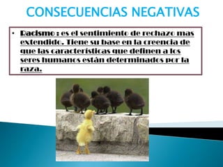 • Racismo : es el sentimiento de rechazo mas
extendido. Tiene su base en la creencia de
que las características que definen a los
seres humanos están determinados por la
raza.
CONSECUENCIAS NEGATIVAS
 