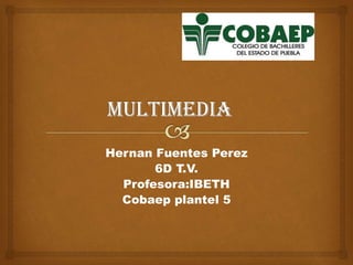 Hernan Fuentes Perez
6D T.V.
Profesora:IBETH
Cobaep plantel 5
 