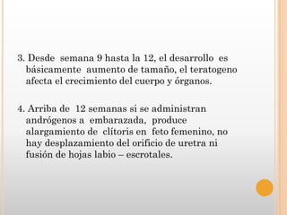 3. Desde semana 9 hasta la 12, el desarrollo es
  básicamente aumento de tamaño, el teratogeno
  afecta el crecimiento del cuerpo y órganos.

4. Arriba de 12 semanas si se administran
  andrógenos a embarazada, produce
  alargamiento de clítoris en feto femenino, no
  hay desplazamiento del orificio de uretra ni
  fusión de hojas labio – escrotales.
 