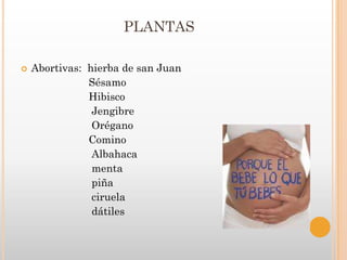PLANTAS

   Abortivas: hierba de san Juan
               Sésamo
               Hibisco
                Jengibre
                Orégano
               Comino
                Albahaca
                menta
                piña
                ciruela
                dátiles
 