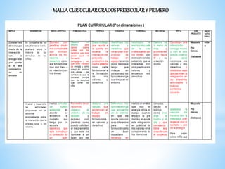 MALLACURRICULARGRADOSPREESCOLARY PRIMERO
 