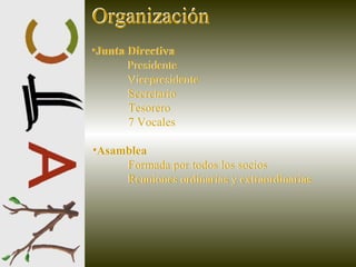 Junta Directiva Presidente Vicepresidente Secretario Tesorero 7 Vocales Asamblea Formada por todos los socios Reuniones ordinarias y extraordinarias Organización Organización Junta Directiva Presidente Vicepresidente Secretario Tesorero 7 Vocales Asamblea Formada por todos los socios Reuniones ordinarias y extraordinarias 