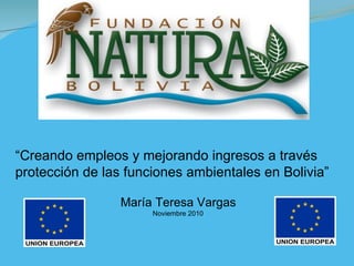 “ Creando empleos y mejorando ingresos a través protección de las funciones ambientales en Bolivia” María Teresa Vargas  Noviembre 2010  