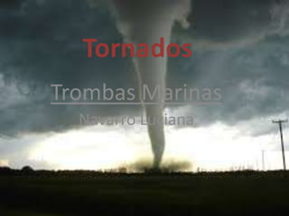 Tornados
Trombas Marinas
Navarro Luciana

 