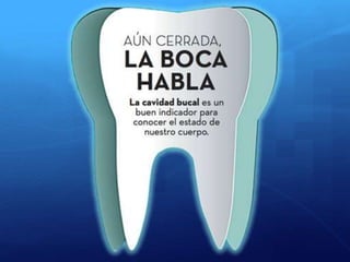 Presentación sistema estomatognatico 