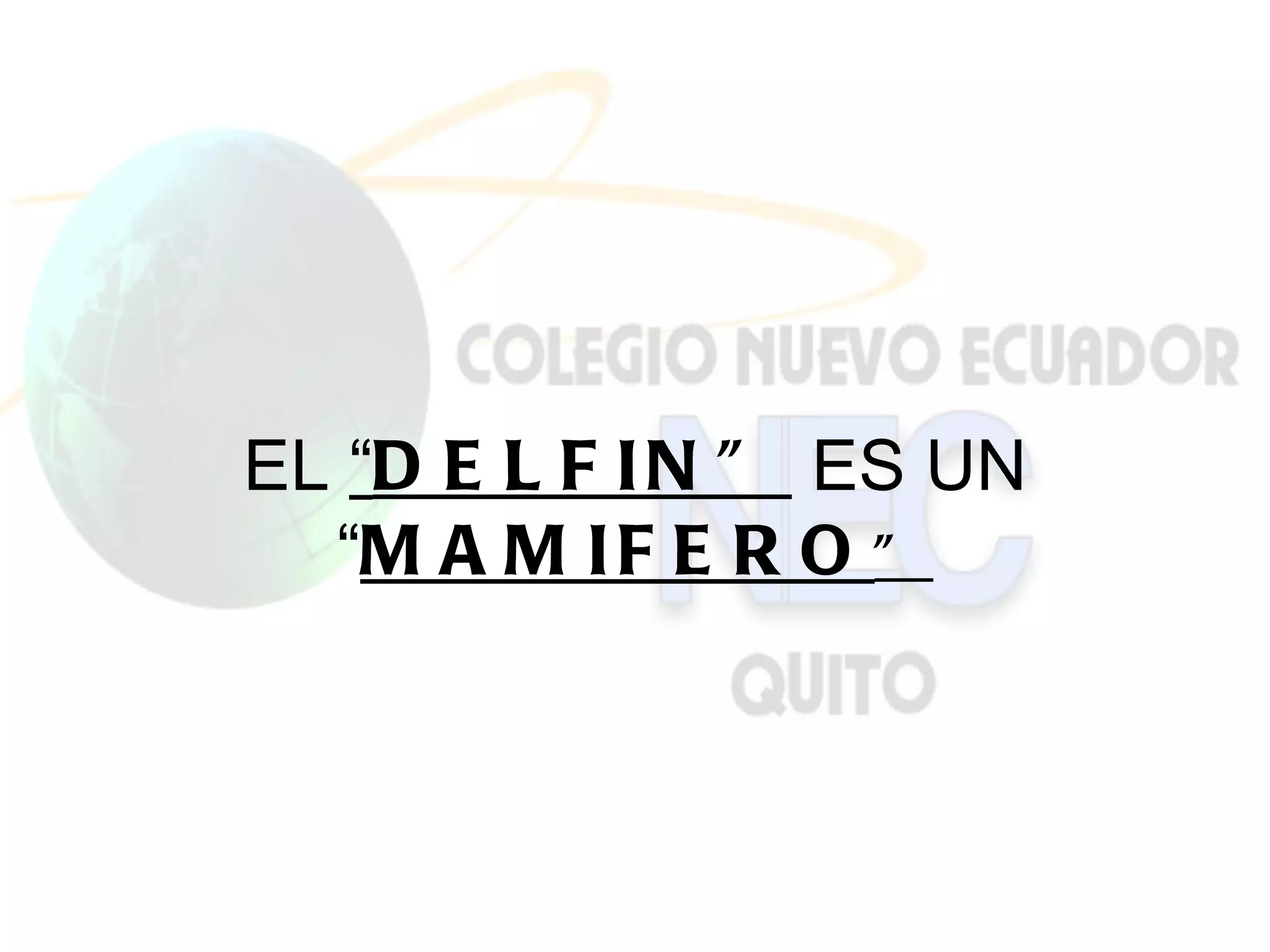 EL “D E L F I N ” ES UN
  “M A M I F E R O ”
 
