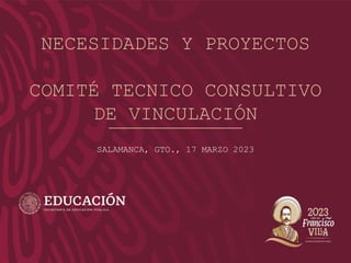 NECESIDADES Y PROYECTOS
COMITÉ TECNICO CONSULTIVO
DE VINCULACIÓN
SALAMANCA, GTO., 17 MARZO 2023
 