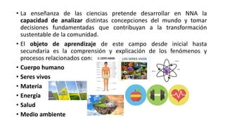 • La enseñanza de las ciencias pretende desarrollar en NNA la
capacidad de analizar distintas concepciones del mundo y tomar
decisiones fundamentadas que contribuyan a la transformación
sustentable de la comunidad.
• El objeto de aprendizaje de este campo desde inicial hasta
secundaria es la comprensión y explicación de los fenómenos y
procesos relacionados con:
• Cuerpo humano
• Seres vivos
• Materia
• Energía
• Salud
• Medio ambiente
 