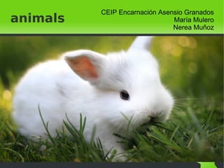    
animals
CEIP Encarnación Asensio Granados
María Mulero
Nerea Muñoz
 