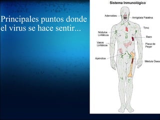 Principales puntos donde el virus se hace sentir...