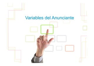 Variables del Anunciante
                           80
 