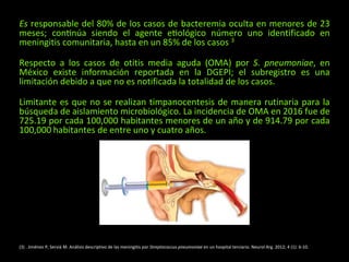 Es responsable del 80% de los casos de bacteremia oculta en menores de 23
meses; continúa siendo el agente etiológico número uno identificado en
meningitis comunitaria, hasta en un 85% de los casos 3
Respecto a los casos de otitis media aguda (OMA) por S. pneumoniae, en
México existe información reportada en la DGEPI; el subregistro es una
limitación debido a que no es notificada la totalidad de los casos.
Limitante es que no se realizan timpanocentesis de manera rutinaria para la
búsqueda de aislamiento microbiológico. La incidencia de OMA en 2016 fue de
725.19 por cada 100,000 habitantes menores de un año y de 914.79 por cada
100,000 habitantes de entre uno y cuatro años.
(3) . Jiménez P, Serviá M. Análisis descriptivo de las meningitis por Streptococcus pneumoniae en un hospital terciario. Neurol Arg. 2012; 4 (1): 6-10.
 