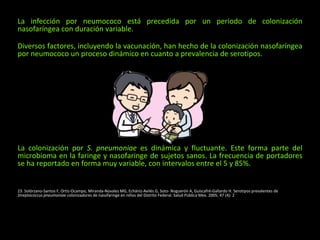 La infección por neumococo está precedida por un periodo de colonización
nasofaríngea con duración variable.
Diversos factores, incluyendo la vacunación, han hecho de la colonización nasofaríngea
por neumococo un proceso dinámico en cuanto a prevalencia de serotipos.
La colonización por S. pneumoniae es dinámica y fluctuante. Este forma parte del
microbioma en la faringe y nasofaringe de sujetos sanos. La frecuencia de portadores
se ha reportado en forma muy variable, con intervalos entre el 5 y 85%.
23. Solórzano-Santos F, Ortiz-Ocampo, Miranda-Novales MG, Echániz-Avilés G, Soto- Noguerón A, Guiscafré-Gallardo H. Serotipos prevalentes de
Streptococcus pneumoniae colonizadores de nasofaringe en niños del Distrito Federal. Salud Pública Mex. 2005; 47 (4): 2
 