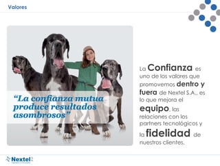 Valores
La Confianza es
uno de los valores que
promovemos dentro y
fuera de Nextel S.A., es
lo que mejora el
equipo, las
relaciones con los
partners tecnológicos y
la fidelidad de
nuestros clientes.
 