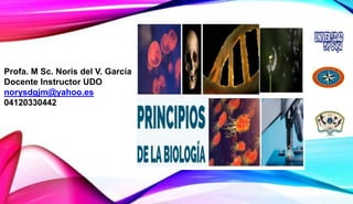 Profa. M Sc. Noris del V. García
Docente Instructor UDO
norysdgjm@yahoo.es
04120330442
 