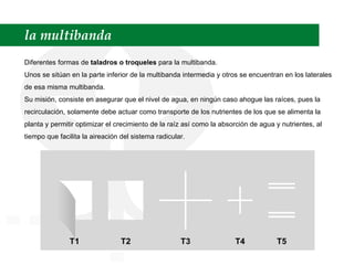 la multibanda Diferentes formas de  taladros o troqueles  para la multibanda. Unos se sitúan en la parte inferior de la multibanda intermedia y otros se encuentran en los laterales de esa misma multibanda. Su misión, consiste en asegurar que el nivel de agua, en ningún caso ahogue las raíces, pues la recirculación, solamente debe actuar como transporte de los nutrientes de los que se alimenta la planta y permitir optimizar el crecimiento de la raíz así como la absorción de agua y nutrientes, al tiempo que facilita la aireación del sistema radicular. 