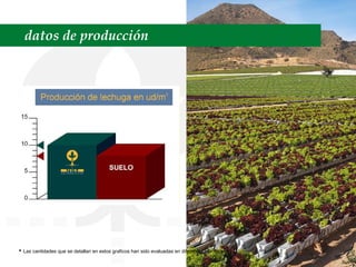 datos de producción •  Las cantidades que se detallan en estos graficos han sido evaluadas en diferentes plantaciones. 