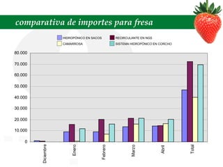comparativa de importes para fresa SISTEMA HIDROPÓNICO EN CORCHO RECIRCULANTE EN NGS CAMARROSA HIDROPÓNICO EN SACOS 