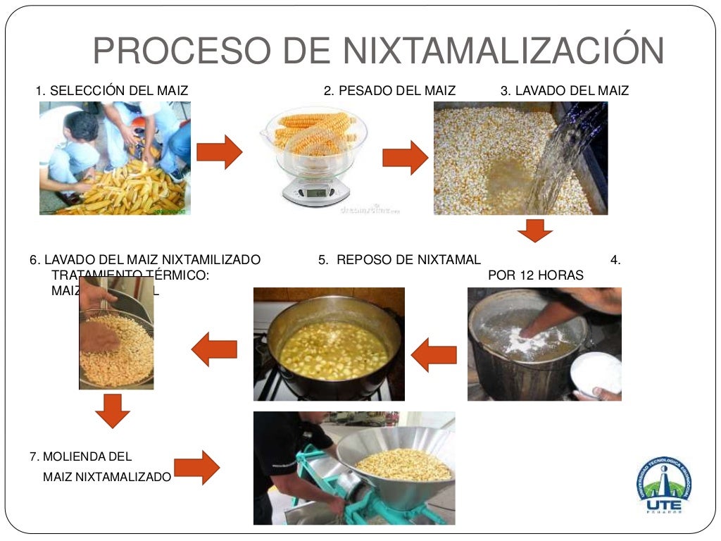 Presentacion Nixtamalizacion