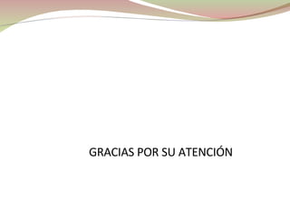 GRACIAS POR SU ATENCIÓN 
