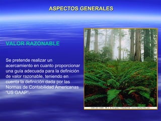 ASPECTOS GENERALES




VALOR RAZONABLE


Se pretende realizar un
acercamiento en cuanto proporcionar
una guía adecuada para la definición
de valor razonable, teniendo en
cuenta la definición dada por las
Normas de Contabilidad Americanas
“US GAAP”.
 