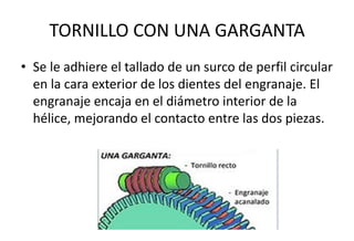 TORNILLO CON UNA GARGANTA
• Se le adhiere el tallado de un surco de perfil circular
en la cara exterior de los dientes del engranaje. El
engranaje encaja en el diámetro interior de la
hélice, mejorando el contacto entre las dos piezas.
 