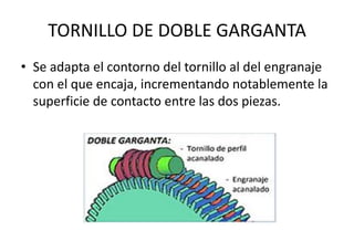 TORNILLO DE DOBLE GARGANTA
• Se adapta el contorno del tornillo al del engranaje
con el que encaja, incrementando notablemente la
superficie de contacto entre las dos piezas.
 