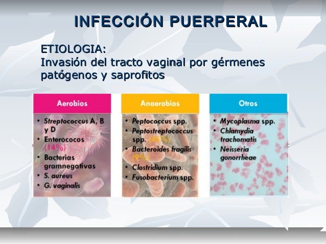 Puerperio Fisiológico y Patológico. Puerperio Fisiológico y Patológico.