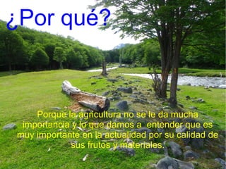 ¿Por qué?

Porque la agricultura no se le da mucha
importancia y lo que damos a entender que es
muy importante en la actualidad por su calidad de
sus frutos y materiales.

 