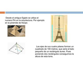   Desde el antiguo Egipto se utiliza el numero Phi en la arquitectura. Por ejemplo en la pirámide de Keops    Los ejes de sus cuatro pilares forman un cuadrado de 100 metros, que seria el lado pequeño de un rectángulo áureo. Pues poniendo dos rectángulos conseguimos la altura de esta torre. 