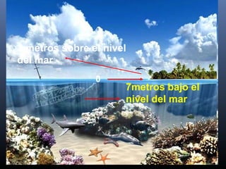 3 metros sobre el nivel 
del mar 
7metros bajo el 
nivel del mar 
0 
 