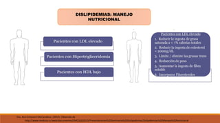 Dra. Ann Echeverri McCandless. (2012). Obtenido de
http://www.medicos.cr/web/documentos/EMC%202013/Presentaciones%20Seminario%20Dislipedimias/Dislipidemias%20Manejo%20Nutricional
DISLIPIDEMIAS: MANEJO
NUTRICIONAL
 