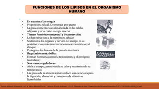 FUNCIONES DE LOS LIPIDOS EN EL ORGANISMO
HUMANO
Teresa Aldámiz-Echevarría Lois, A. Pérez-Morala Díaz y C. Recarte García-Andrade. (2010). Obtenido de http://www.jano.es/ficheros/sumarios/1/0/1722/33/00330038_LR.pdf
 