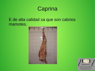 Caprina
E de alta calidad xa que son cabrios
mamotes.