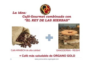 La idea:
       Café-Gourmet combinado con
        “EL REY DE LAS HIERBAS”




Café ARABICA de alta calidad                      GANODERMA - REISHI

        = Café más saludable de ORGANO GOLD
                      www.yurena-elche.organogold.com
 
