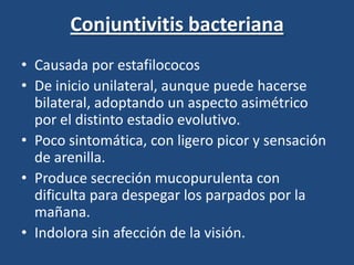 Conjuntivitis bacterianaCausada por estafilococosDe inicio unilateral, aunque puede hacerse bilateral, adoptando un aspecto asimétrico por el distinto estadio evolutivo.Poco sintomática, con ligero picor y sensación de arenilla.Produce secreción mucopurulenta con dificulta para despegar los parpados por la mañana.Indolora sin afección de la visión. 
