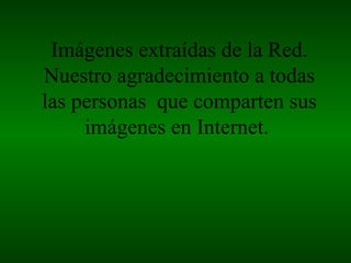 Imágenes extraídas de la Red.
Nuestro agradecimiento a todas
las personas que comparten sus
     imágenes en Internet.
 