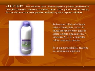 ALOE BETA:ALOE BETA: Saca radicales libres. Sistema digestivo, gastritis, problemas deSaca radicales libres. Sistema digestivo, gastritis, problemas de
colón, intoxicaciones, enfermos terminales, cáncer, SIDA, para curaciones heridas,colón, intoxicaciones, enfermos terminales, cáncer, SIDA, para curaciones heridas,
úlceras, sistema urinario (en grandes cantidades ayuda a expulsar cálculos).úlceras, sistema urinario (en grandes cantidades ayuda a expulsar cálculos).
Refrescante bebida micelizadaRefrescante bebida micelizada
sabor a limón, piña, o uva. Susabor a limón, piña, o uva. Su
ingrediente principal es jugo deingrediente principal es jugo de
sábila (acíbar), beta caroteno, ysábila (acíbar), beta caroteno, y
vitaminas A, C, E, y mineralesvitaminas A, C, E, y minerales
calcio, magnesio, potasio.calcio, magnesio, potasio.
Es un gran antioxidante, favoreceEs un gran antioxidante, favorece
la cicatrización, digestiónla cicatrización, digestión
 