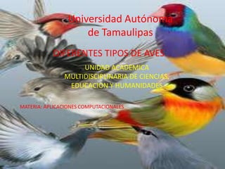 Universidad Autónoma
                     de Tamaulipas
           DIFERENTES TIPOS DE AVES
                    UNIDAD ACADEMICA
               MULTIDISCIPLINARIA DE CIENCIAS,
                EDUCACION Y HUMANIDADES

MATERIA: APLICACIONES COMPUTACIONALES
 