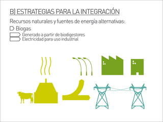 B)ESTRATEGIASPARALAINTEGRACIÓN
Recursosnaturalesyfuentesdeenergíaalternativas:
Biogas
Generadoapartirdebiodigestores
Electricidadparausoindustrial
 