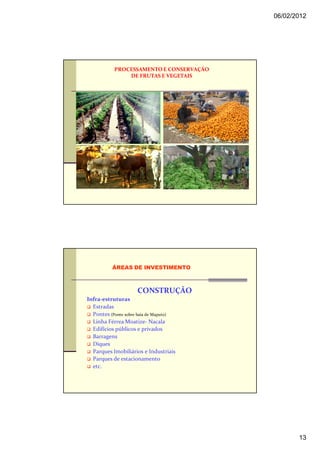 06/02/2012




           PROCESSAMENTO E CONSERVAÇÃO
               DE FRUTAS E VEGETAIS




          ÁREAS DE INVESTIMENTO



                     CONSTRUÇÃO
Infra-estruturas
  Estradas
  Pontes (Ponte sobre baía de Maputo)
  Linha Férrea Moatize- Nacala
  Edifícios públicos e privados
  Barragens
  Diques
  Parques Imobiliários e Industriais
  Parques de estacionamento
  etc.




                                                13
 