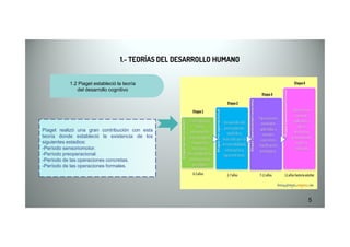 1.- TEORÍAS DEL DESARROLLO HUMANO1.- TEORÍAS DEL DESARROLLO HUMANO
1.2 Piaget estableció la teoría
del desarrollo cognitivo
5
Piaget realizó una gran contribución con esta
teoría donde estableció la existencia de los
siguientes estadios:
-Período sensoriomotor.
-Período preoperacional.
-Período de las operaciones concretas.
-Período de las operaciones formales.
 