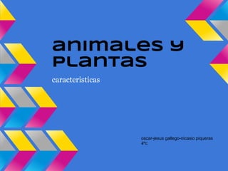animales y
plantas
caracteristicas




                  oscar-jesus gallego-nicasio piqueras
                  4ºc
 