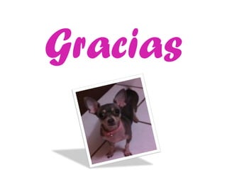 Gracias
 