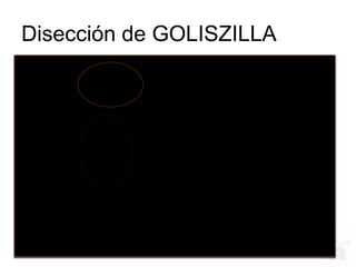 Disección de GOLISZILLA
 